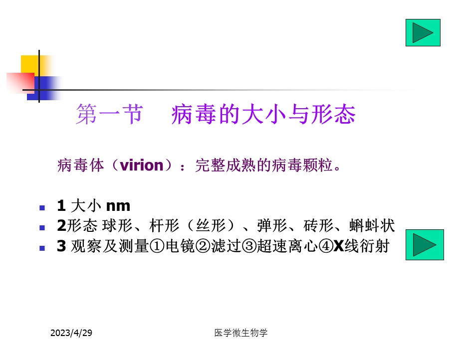 医学微生物学课件第20章 病毒的基本性状文档资料.ppt_第1页