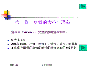 医学微生物学课件第20章 病毒的基本性状文档资料.ppt