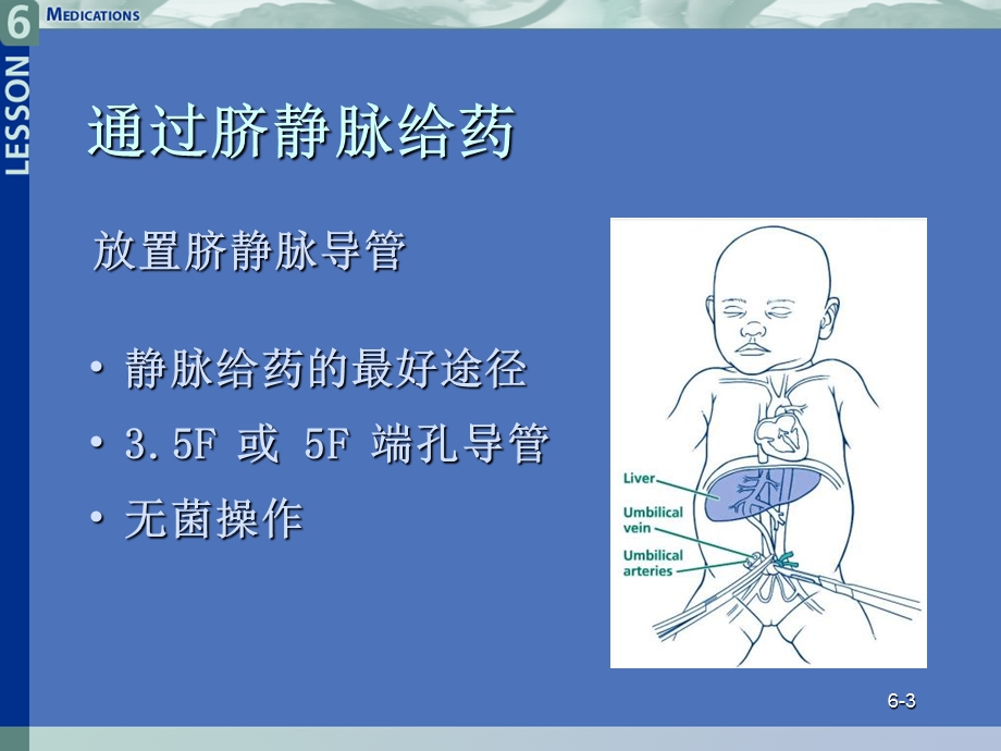 新生儿窒息复苏新理念药物治疗文档资料.ppt_第3页