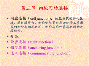 细胞表面及特化精选文档.ppt