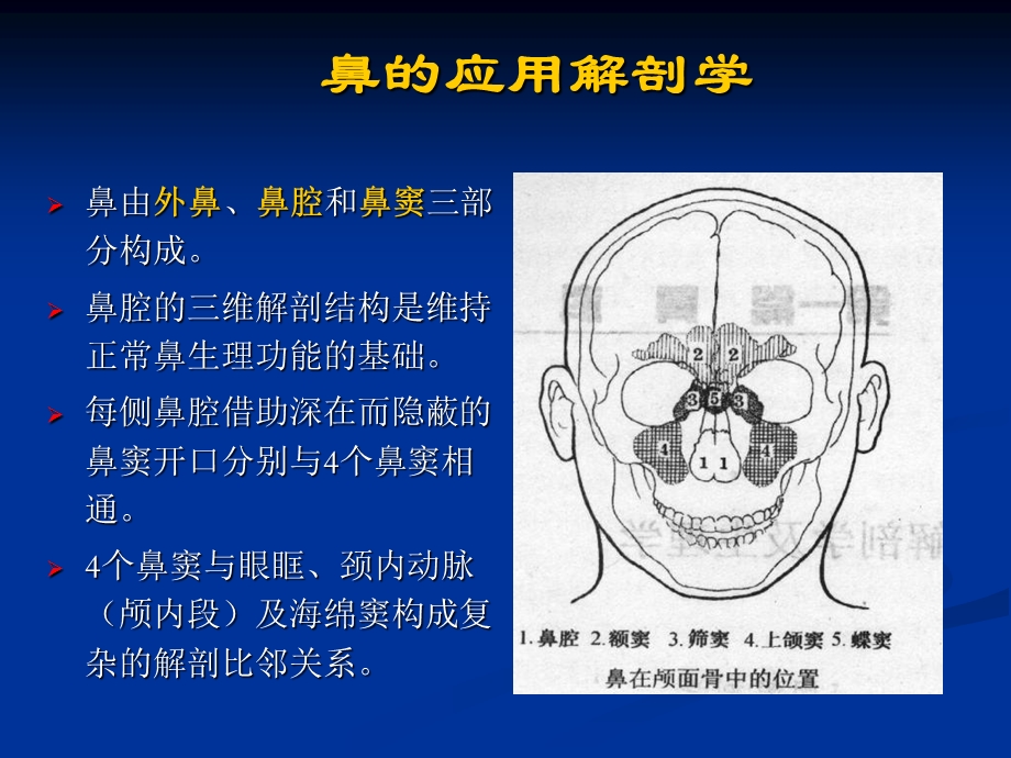 002鼻的应用解剖学和生理学文档资料.ppt_第1页