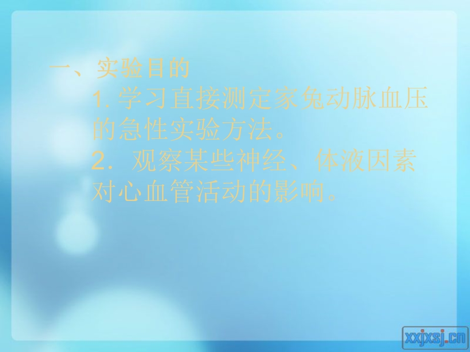 实验九动脉血压的调节PPT文档.ppt_第1页