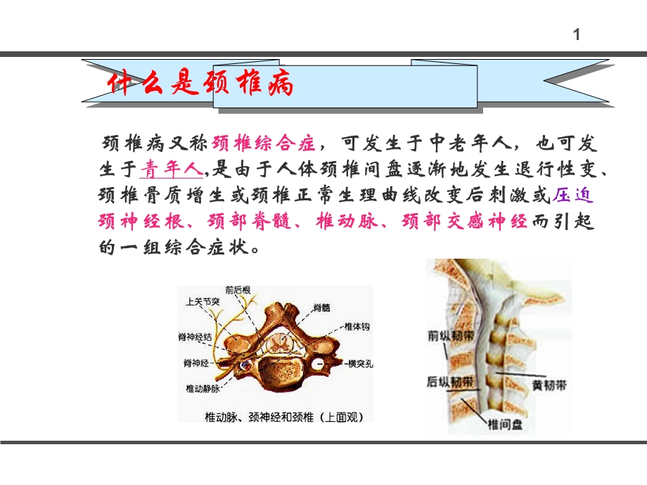 办公室人员如何防止颈椎病文档资料.ppt_第1页