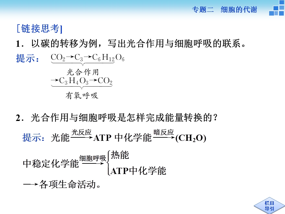 光合作用和细胞呼吸文档资料.ppt_第3页