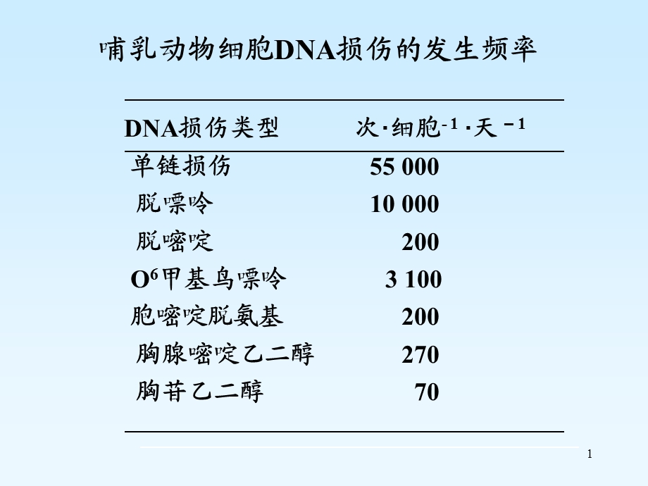 5第六章损伤与修复5年制PPT课件.ppt_第1页