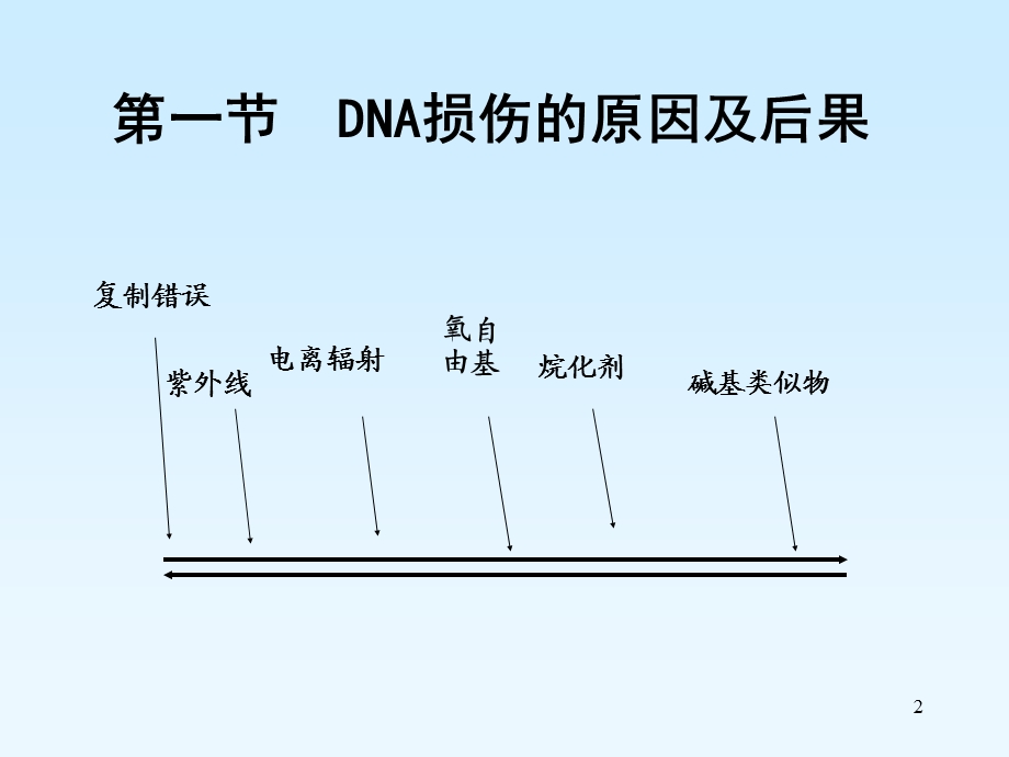 5第六章损伤与修复5年制PPT课件.ppt_第2页