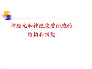 101神经系统PPT文档资料.ppt