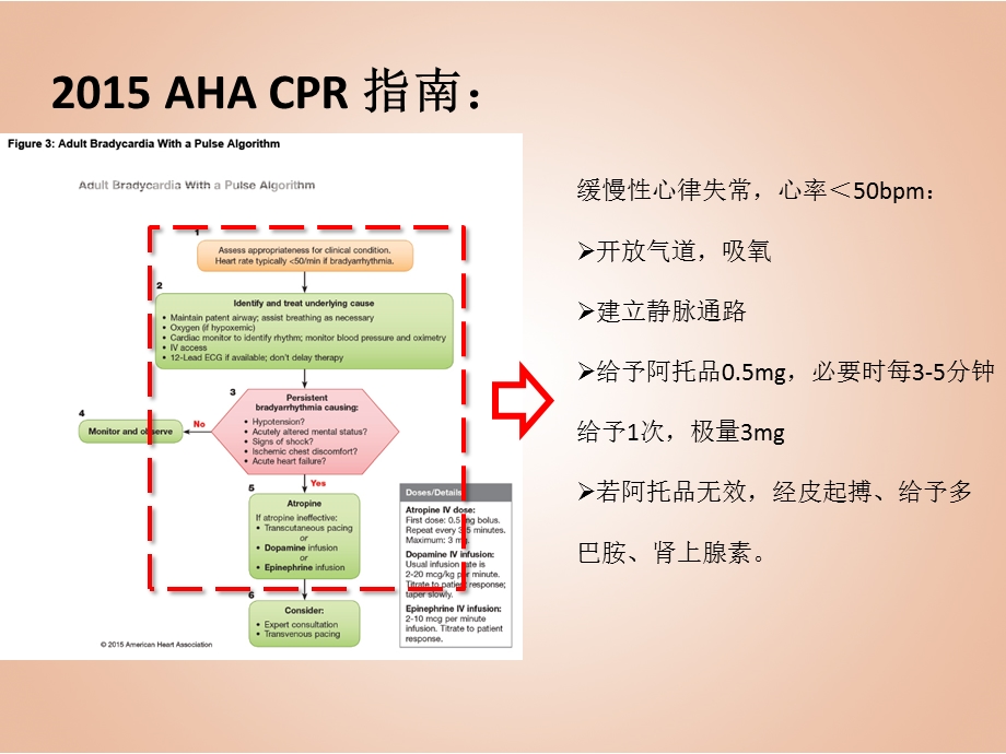 心肺复苏常用抢救用药文档资料.ppt_第3页