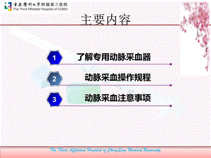 动静脉采血技术实习生岗前培训ppt课件文档资料.pptx