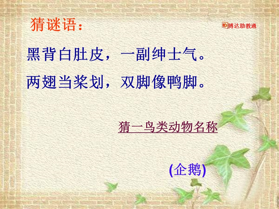 登上企鹅岛).ppt_第1页