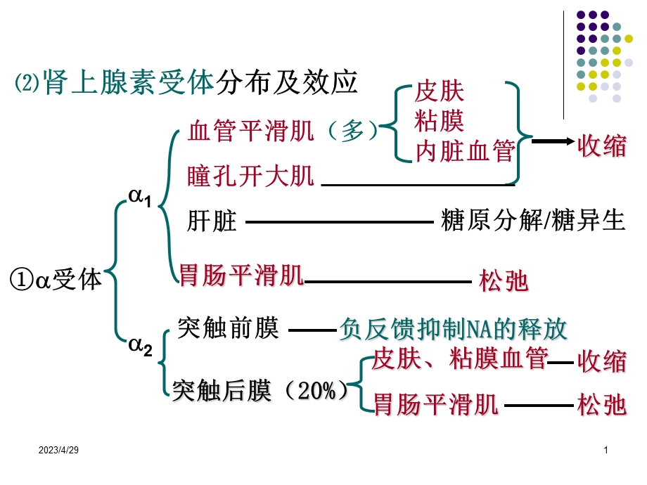 09药理08文档资料.ppt_第1页