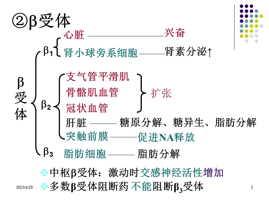 09药理08文档资料.ppt_第2页