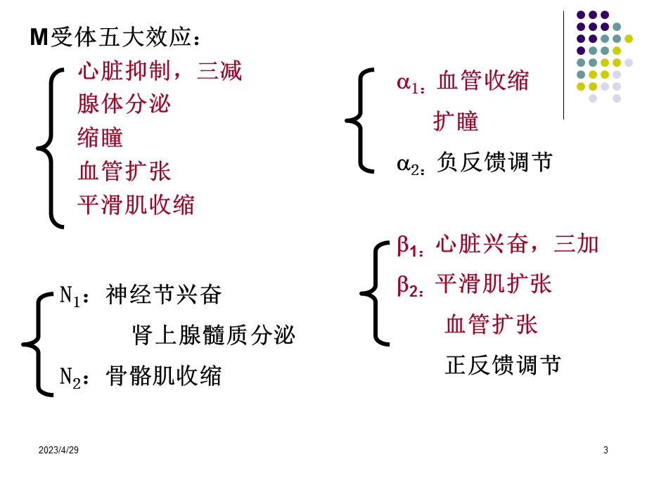 09药理08文档资料.ppt_第3页