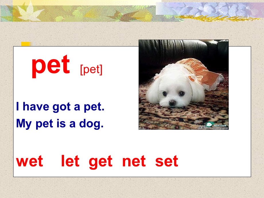 上海本地版英语四下《Unit1Mypet》课件3.ppt_第3页