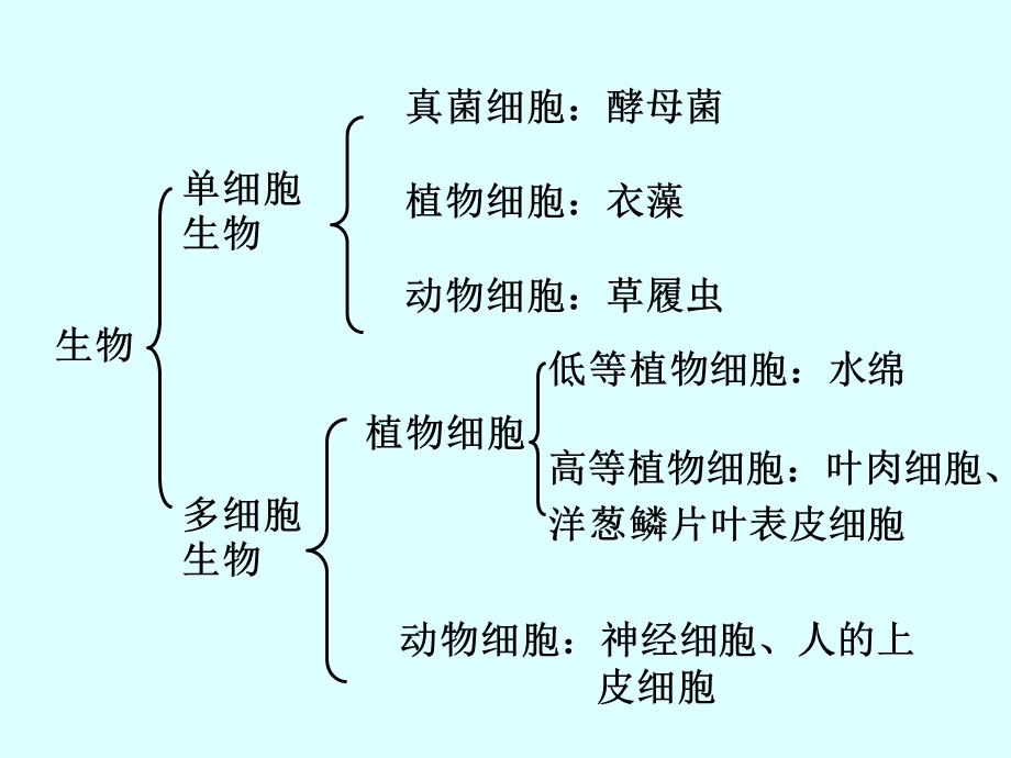 人教版教学课件12细胞多样性与统一性2精选文档.ppt_第1页