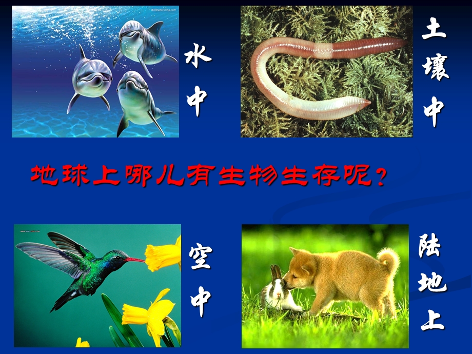 人类对生物圈的依赖2.ppt_第2页