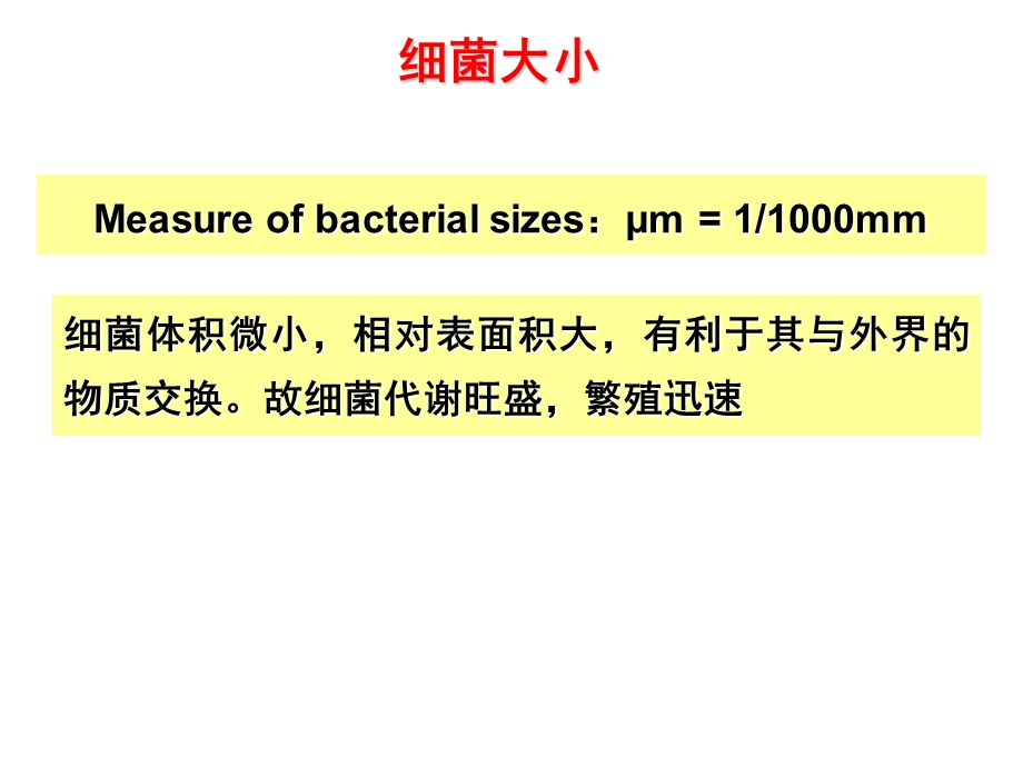 最新02细菌的形态与结构文档资料.ppt_第2页