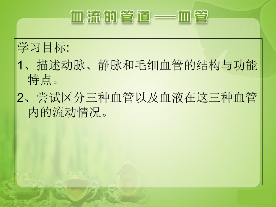 七年级下册生物课件血流的管道—血管参考课件PPT文档.ppt_第1页