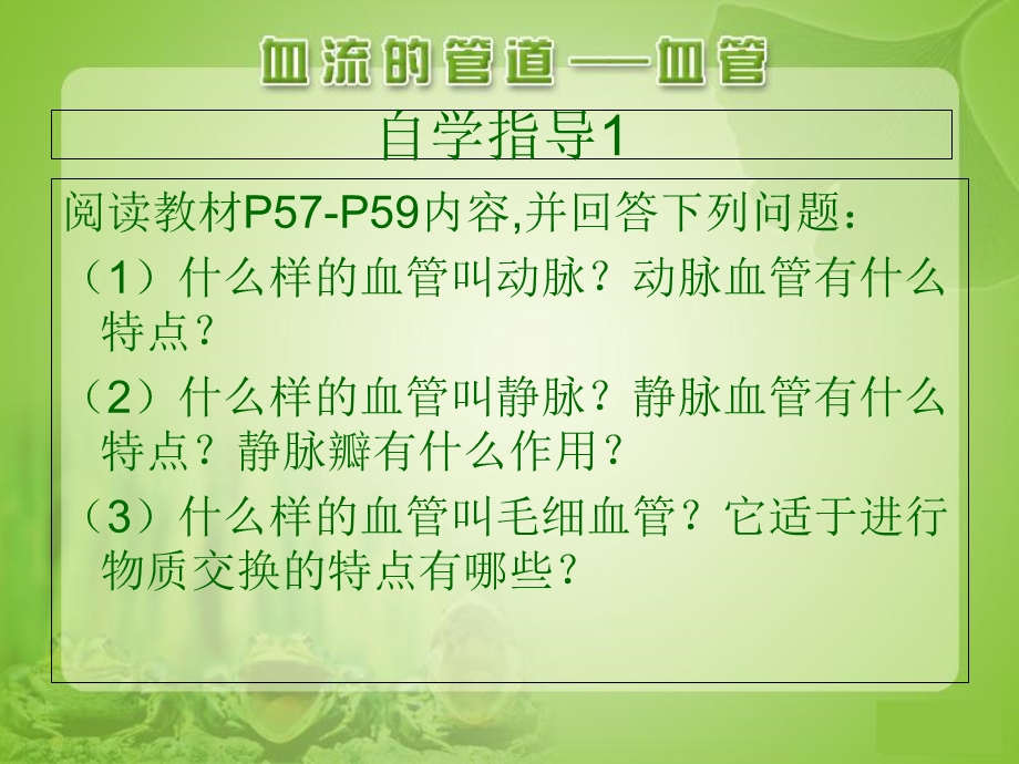 七年级下册生物课件血流的管道—血管参考课件PPT文档.ppt_第2页