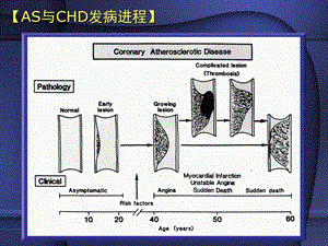 中国医科大药理学抗高脂血症药精选文档.ppt