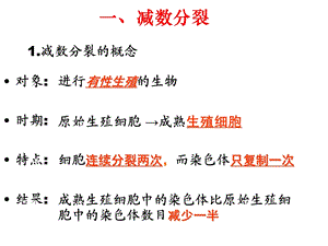 专题三：遗传的细胞学基础与分子遗传学1文档资料.ppt