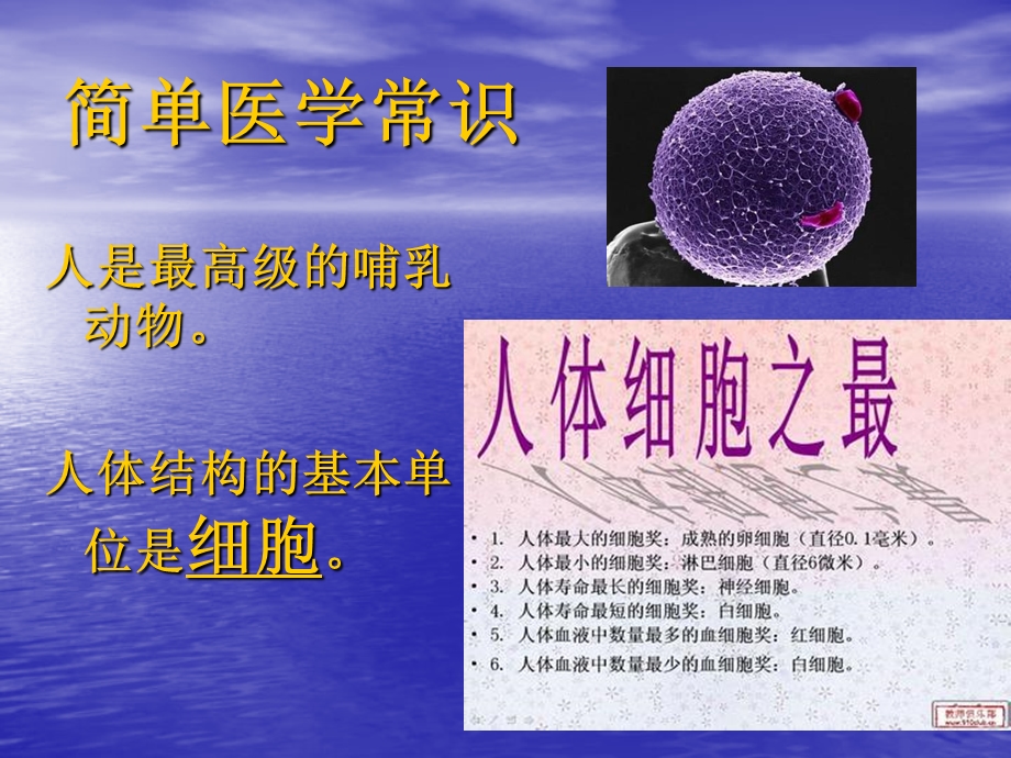 医学急救常识精选文档.ppt_第1页