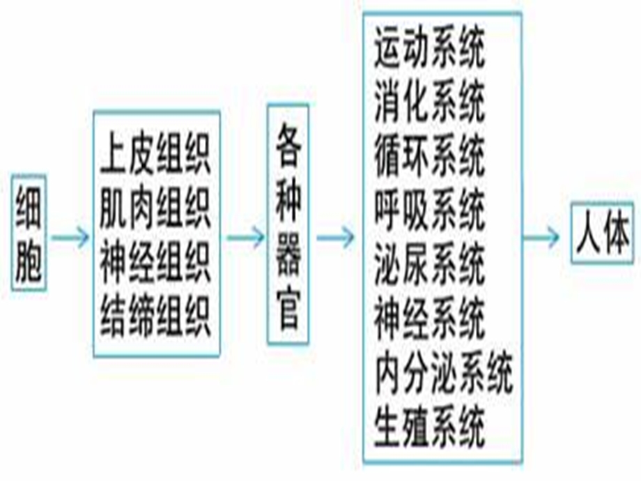 医学急救常识精选文档.ppt_第2页