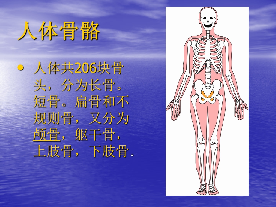 医学急救常识精选文档.ppt_第3页