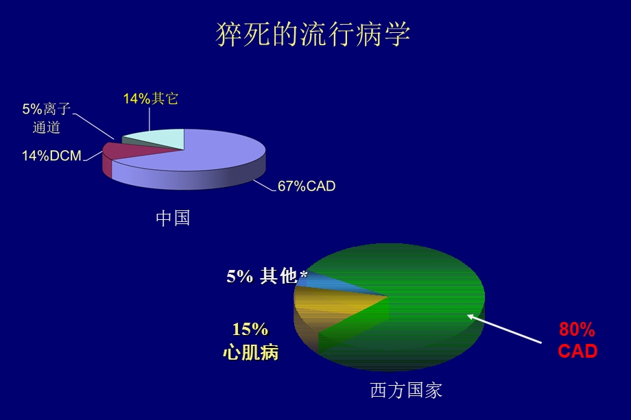 心脏性猝死的防治1课件文档资料.ppt_第3页