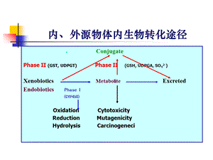 分子药理学课件PPT文档.ppt