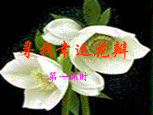 寻找幸运花瓣课件.ppt