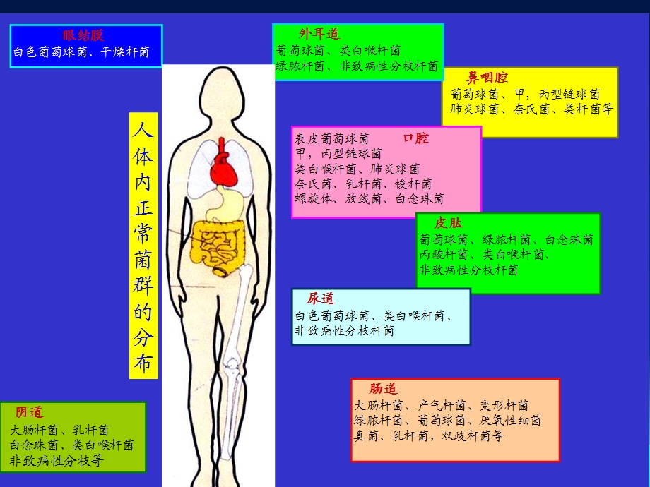 最新6细菌感染与免疫护理PPT文档精选文档.ppt_第2页