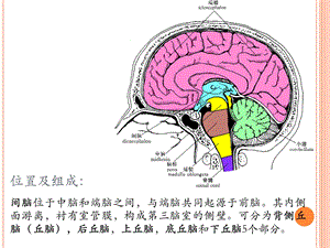 丘脑占位：胶质瘤文档资料.ppt