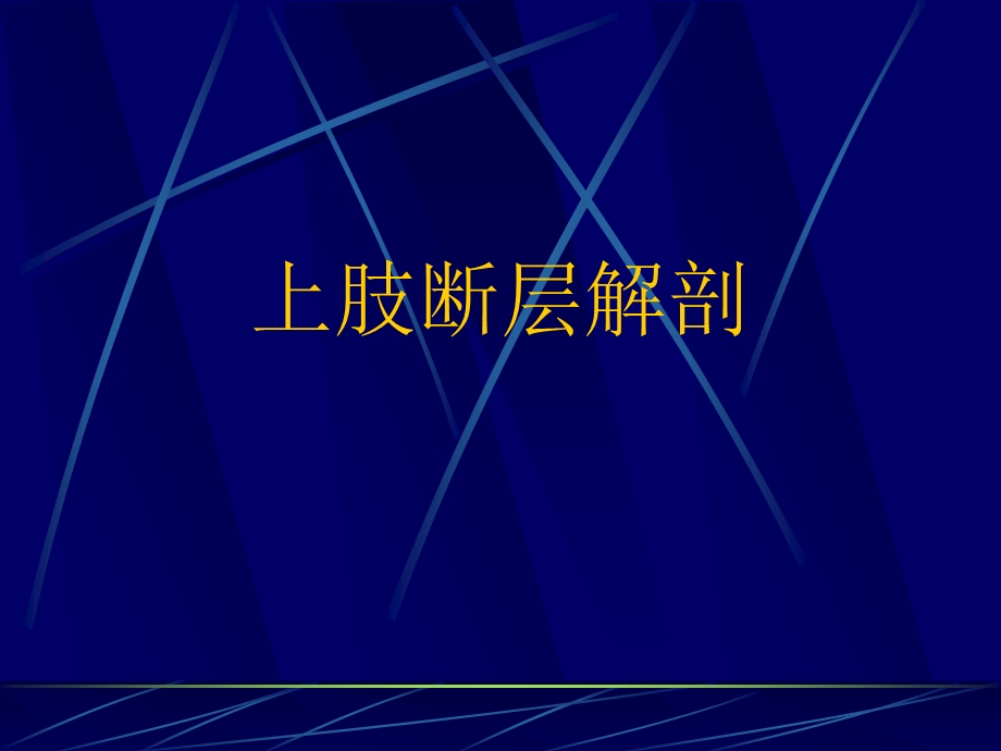 四肢断层解剖及CT、MRI名师编辑PPT课件.ppt_第2页