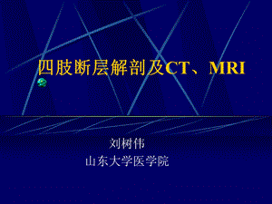 四肢断层解剖及CT、MRI名师编辑PPT课件.ppt