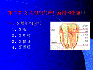 卫生教学三基培训牙周组织疾病文档资料.ppt