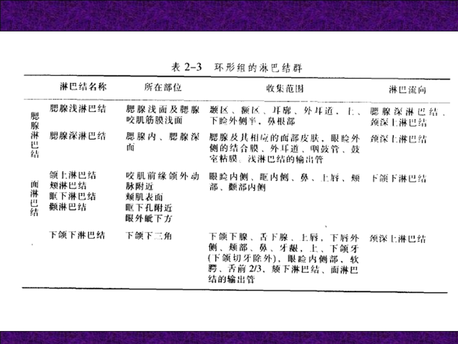 口腔颌面解剖学淋巴与神经PPT文档.ppt_第3页