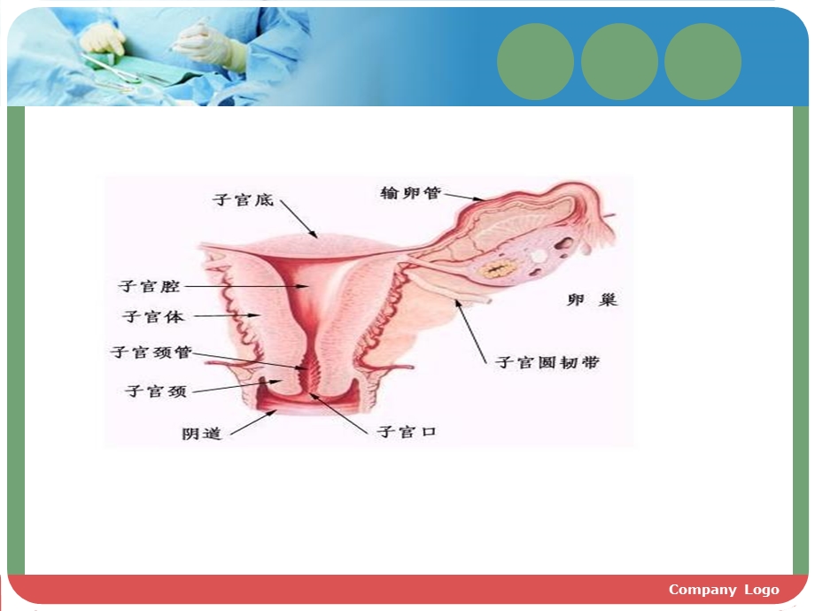 妇产科宫外孕护理查房PPT文档.ppt_第3页