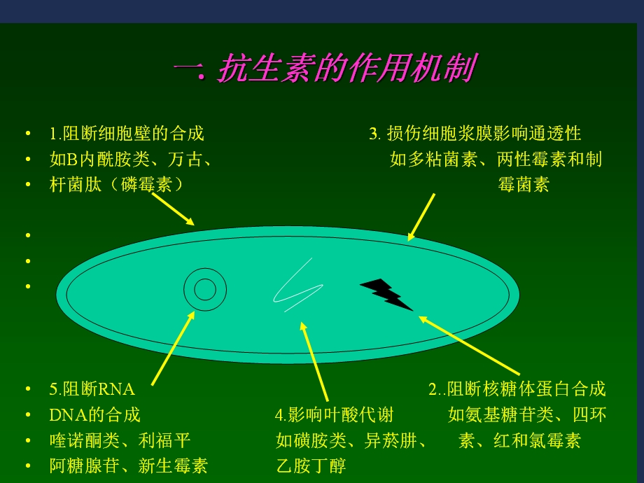 抗生素及其临床应用名师编辑PPT课件.ppt_第2页