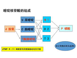 嘧啶类抗肿瘤药物PPT文档.pptx