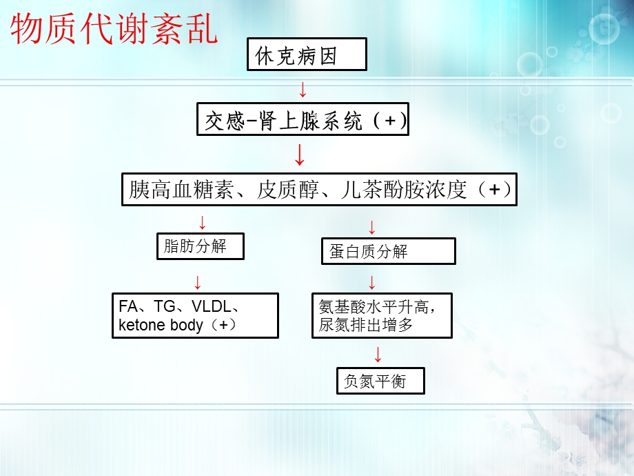 休克机能代谢变化PPT文档.pptx_第3页