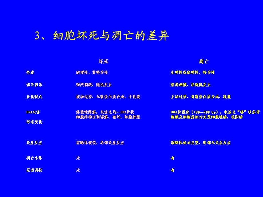 分子肿瘤学细胞凋亡和肿瘤文档资料.ppt_第3页