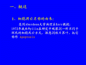 分子肿瘤学细胞凋亡和肿瘤文档资料.ppt