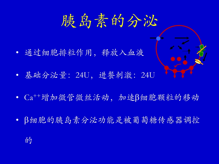 口服降糖药的临床应用精选文档.ppt_第2页