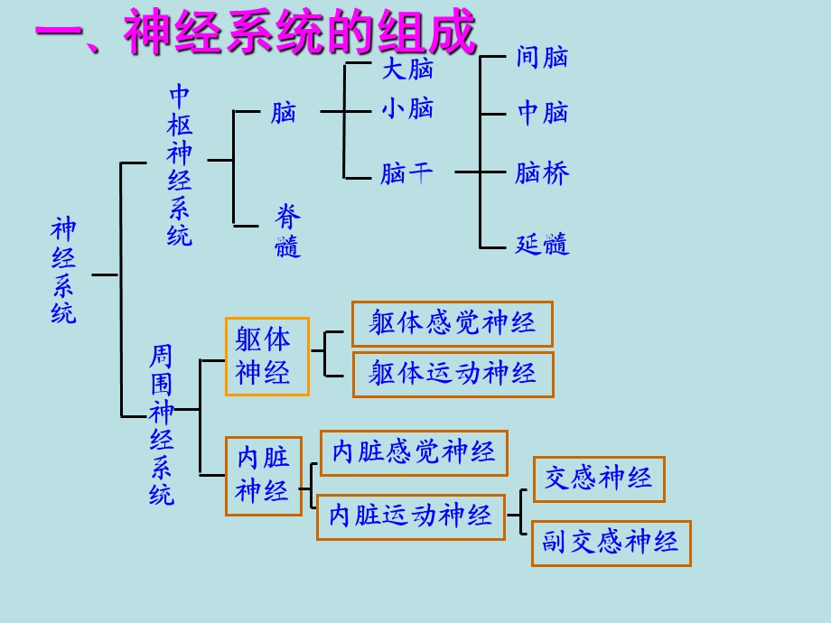 人教版教学教案云南省弥勒县庆来中学生物必修3 通过神经系统的调节1(课件)PPT文档.ppt_第1页