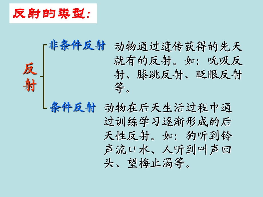 人教版教学教案云南省弥勒县庆来中学生物必修3 通过神经系统的调节1(课件)PPT文档.ppt_第3页