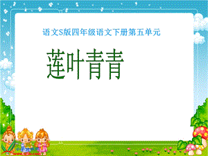 莲叶青青课件3.ppt