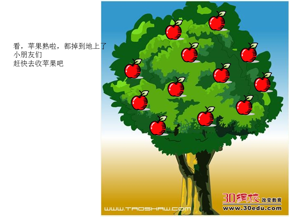 幼儿科学课件数的组成2与3PPT文档.ppt_第1页