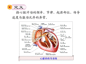 循环系统疾病病人的护理心律失常PPT文档.ppt