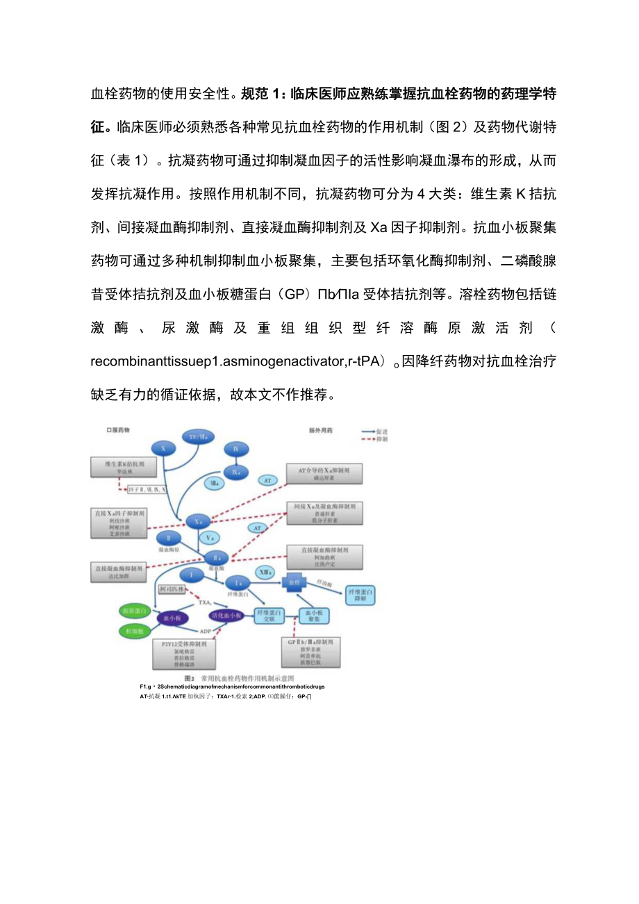 最新：中国抗血栓药物相关出血诊疗规范专家共识（完整版）.docx_第2页